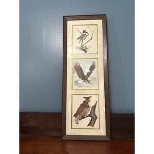 Gene Gray Wood Framed Signed 70 Prints King Fisher Bald Eagle Owl